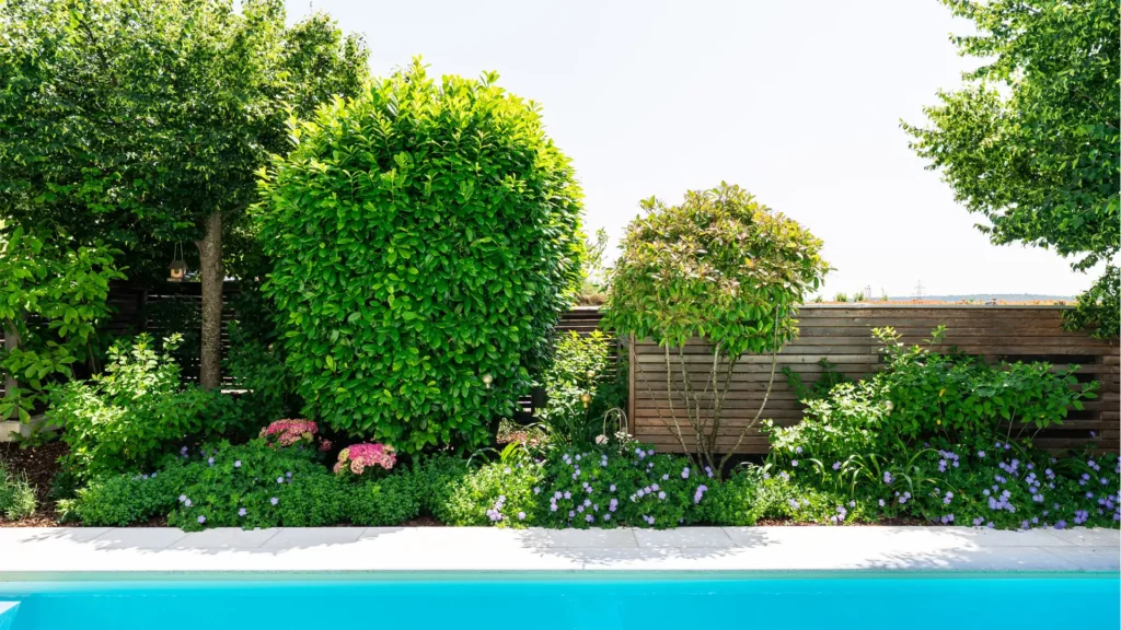Grüner Garten mit Poolausschnitt